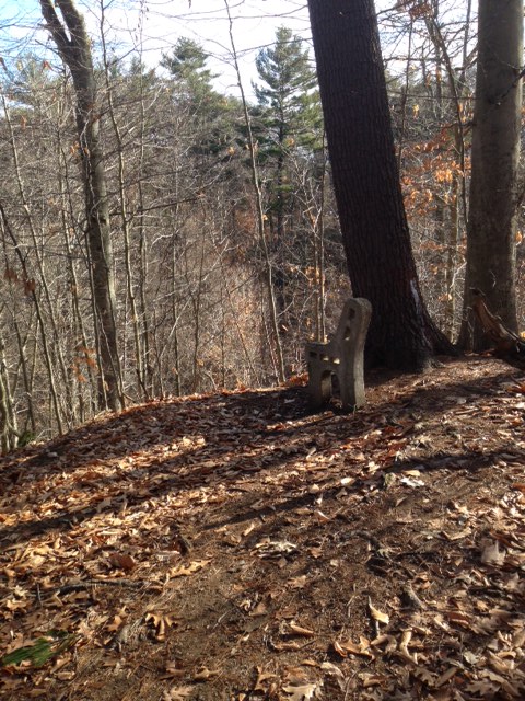 One half of a concrete bench on the Meadowbrook Ravine Trail in Forest Park.